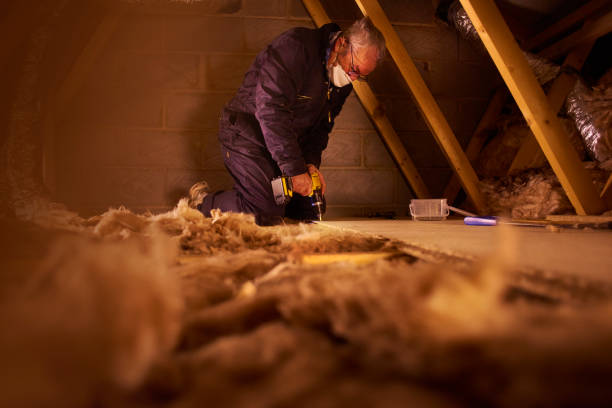 Best Types of Insulation in Kronenwetter, WI